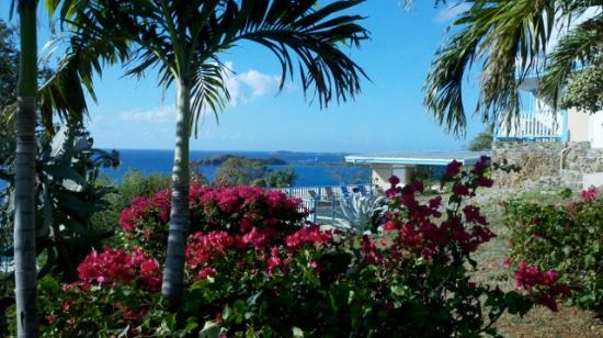 Paradise Cove - 5 minutes from AYH marina