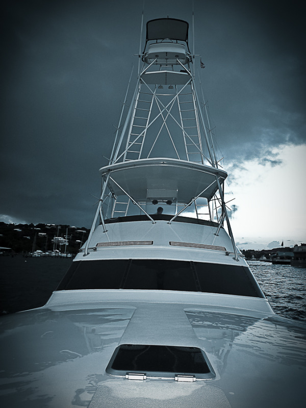 P1030552-2.jpg picture by collin_ross