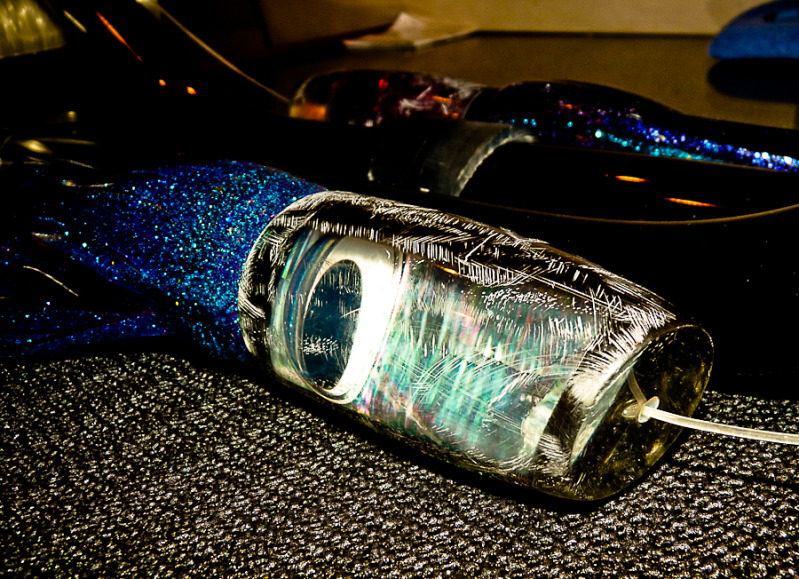P1030352-4.jpg picture by collin_ross