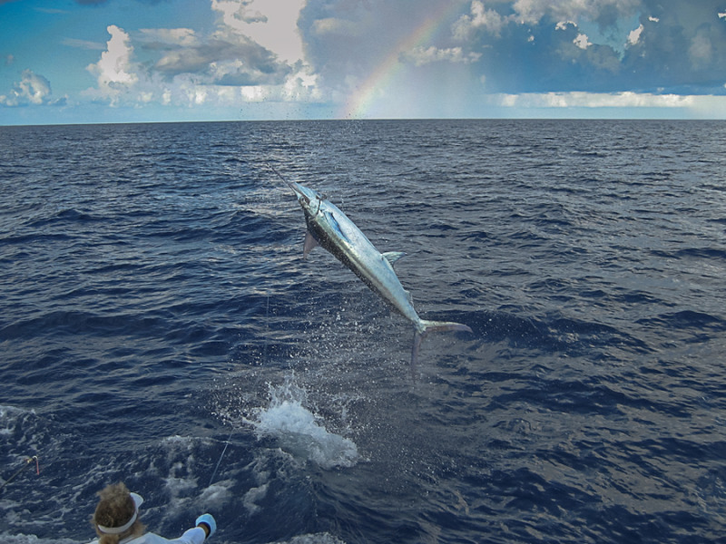 IMG_0400.jpg picture by collin_ross