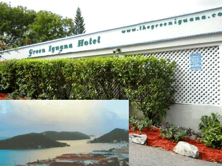 Green Iguana Hotel