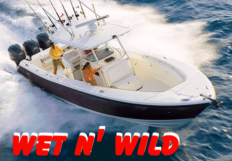 Wet N' Wild Center Console - Billfish Tournament